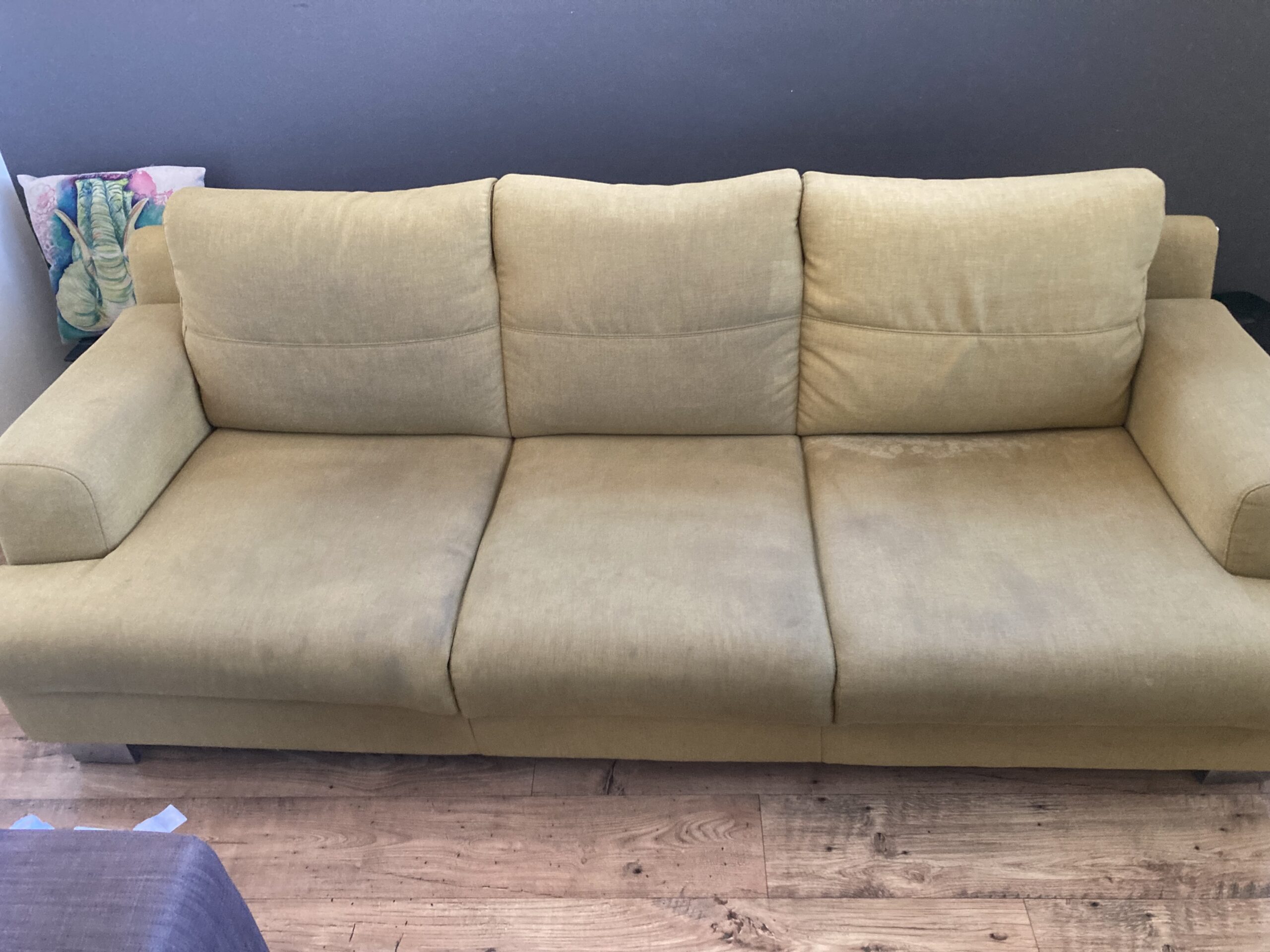 fabric couch cleaning