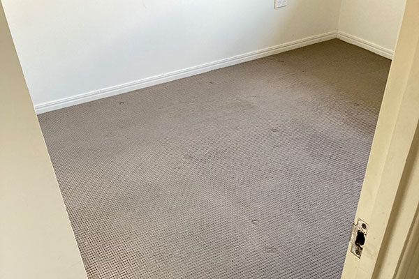 chem-dry-platinum-how-to-best-clean-carpets